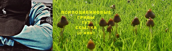 таблы Алексеевка